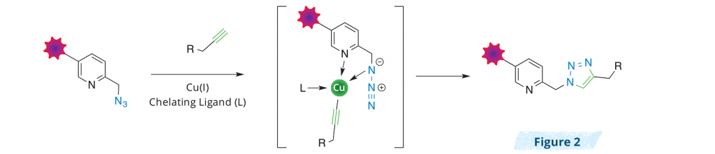 azide_probes-structure3-1024x221